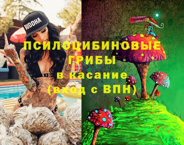 дурь Арсеньев
