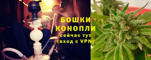 дурь Арсеньев
